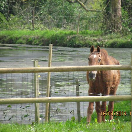 L'Orangerie Du Grand Jardin Villa Conde-sur-Seulles Bagian luar foto